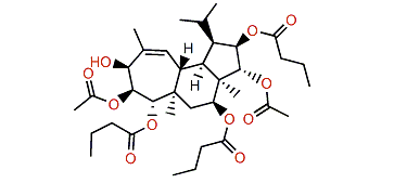 Gagunin C